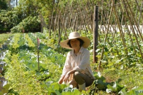 Aprovado projeto de incentivo à trabalhadora rural familiar com título da reforma agrária