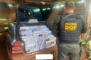 DOF apreende 1500 pacotes de cigarros contrabandeados em casa abandonada