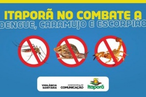 Prefeitura de Itaporã inicia campanha de combate a Dengue, Caramujo africano e Escorpião