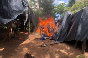 Polícia desfaz acampamento que produziu 12 toneladas de maconha