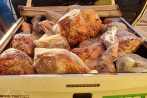 Polícia Civil e Iagro apreendem quase 1 tonelada de carne estragada