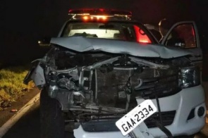 Motorista morre em colisão com vaca na rodovia MS-080
