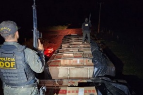 Polícia apreende 40 mil pacotes de cigarros contrabandeados do Paraguai