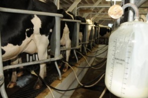 CNA estuda aplicação de direito antidumping em importações de leite da Argentina