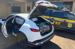 Polícia apreende quase uma tonelada de maconha em veículo