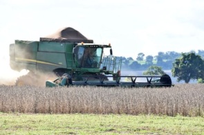 Mato Grosso do Sul registra a maior safra de soja da história