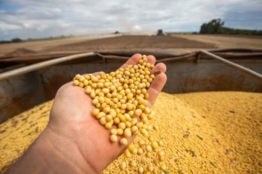 Motorista é condenado após abandonar carga de soja e caminhão ser furtado em MS