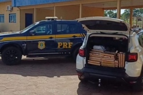 Motorista é preso transportando quase meia tonelada de maconha
