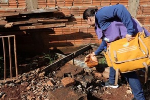 Dourados investiga nova morte por chikungunya e casos seguem em alta