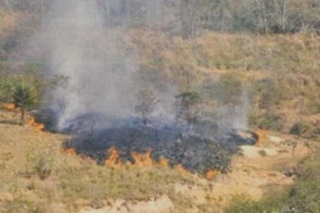 Queimada irregular destrói cerca de 600 hectares e vira alvo de investigação
