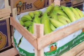 Funcionário é preso após desviar frutas e lucrar R$ 5 mil em um mês