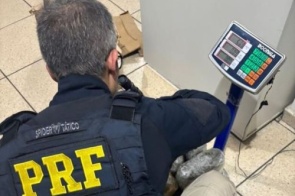 Menor é apreendido com mais de 11 quilos de skunk na BR-262