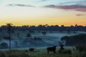 MS tem mínima de 1°C e sensação térmica fica em 3°C em Campo Grande