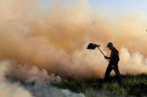 Ibama notifica 403 áreas rurais por risco elevado de incêndios em MS
