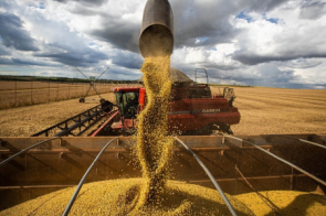 Nova regra amplia crédito rural para compra de máquinas e tecnologia