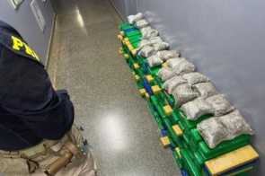 Polícia prende motorista transportando 358 quilos de maconha