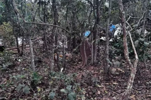 MS já soma 18 acidentes aéreos no ano; queda de avião em Campo Grande foi a única com morte