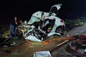 Casal morre carbonizado após colisão envolvendo anta e carreta na BR-267