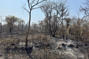 Área queimada no Pantanal supera 80 mil hectares em 2026