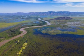 MPF aciona Justiça para cobrar comitê de proteção ao Pantanal