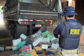 Polícia encontra 5,2 toneladas de maconha escondidas em carga de milho