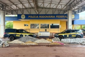 Fiscalização apreende quase uma tonelada de drogas em MS