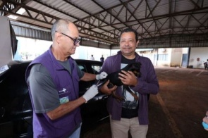 Dourados leva vacinação antirrábica para cinco pontos da cidade