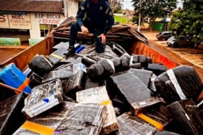 PM apreende 2,5 toneladas de maconha em carga de couro bovino