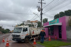 Itaporã: Enxame de abelhas ataca crianças e mobiliza Defesa Civil e Energisa no Jardim Santa Terra