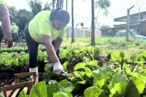 Da terra ao prato, horta quilombola faz florescer histórias e tradições