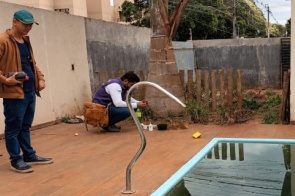 Notificações de chikungunya sobem 46,7% e voltam a acender alerta