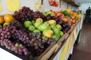 Na Frutaria Pague Pouco você encontra frutas, legumes e verduras fresquinhas todos os dias
