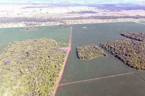 PMA identifica 75 mil hectares de áreas desmatadas e vai multar responsáveis