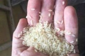 Anvisa proíbe lote de arroz por encontrar fezes e pelo de roedor