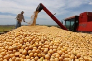 Safra de grãos tem nível histórico e chega a 232 milhões de toneladas