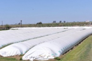 Ladrões invadem fazenda e furtam soja avaliada em R$ 70 mil