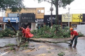 Além de queda de árvores, ventos destelharam casas em bairros de Dourados
