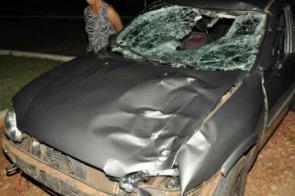 Vaca na pista causa acidente entre veículos na região de Dourados