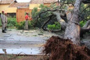 Chuva de 41 milímetros derrubam árvores na capital e a temperatura em Mato Grosso do Sul