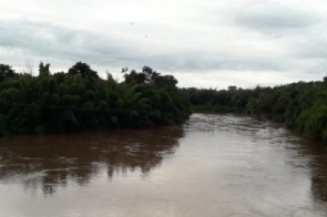 Imasul emite alerta para possibilidade de alagamento no Rio Miranda