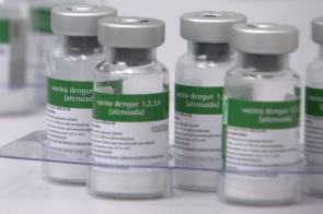 Vacina contra dengue está em fase final de produção