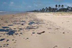 Bolsonaro determina investigação sobre óleo que há 1 mês atinge praias do Nordeste