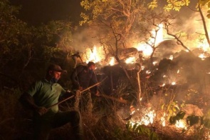 Incêndio florestal atinge parque com pinturas rupestres no Pará