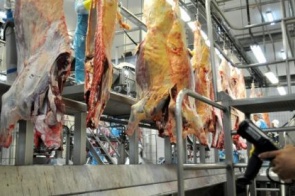 Em convulsão social, Chile é principal destino da carne bovina de MS