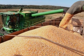 Exportações estaduais somam R$ 20 bilhões em 2019, com crescimento da celulose e milho