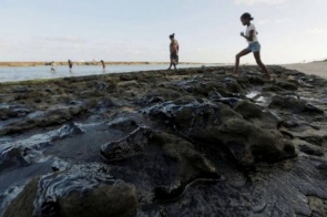 Capes divulga projetos selecionados para pesquisa sobre óleo em praias