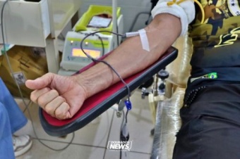  Brasil 