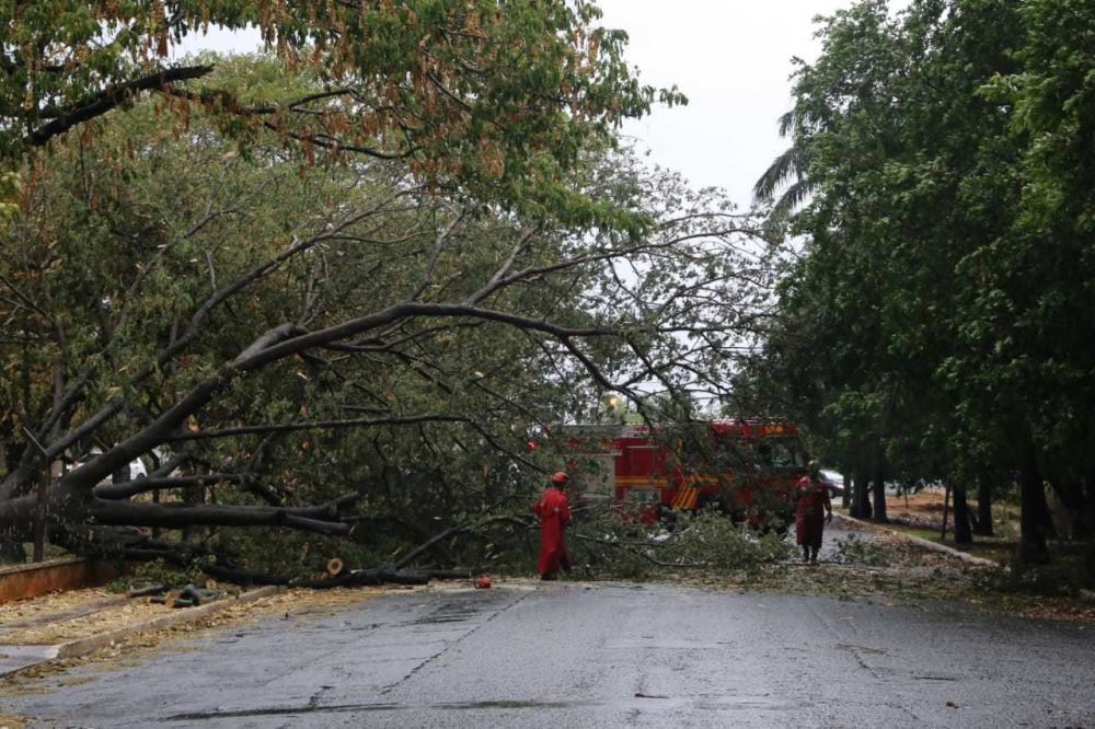 Na Ernesto Geisel, árvore caiu em carro e bloqueou parte da rua. (Foto: Kísie Ainoã)