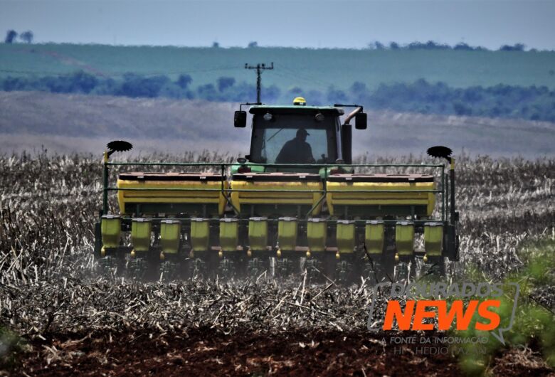 Plantio da soja está proibido em MS a partir desta quarta - Crédito: Hedio Fazan/Dourados News/Arquivo