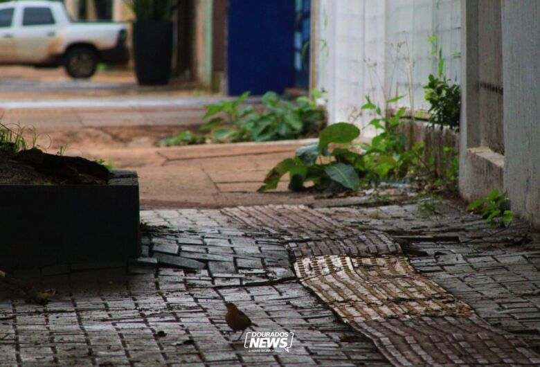 Em Dourados, calçadas não padronizadas causam transtornos a quem tem mobilidade reduzida - Crédito: Clara Medeiros/Arquivo/Dourados News